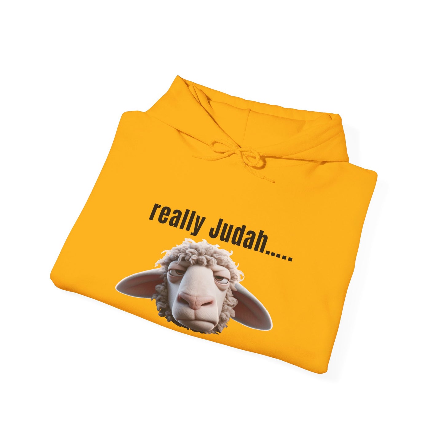 really Judah Hoodie