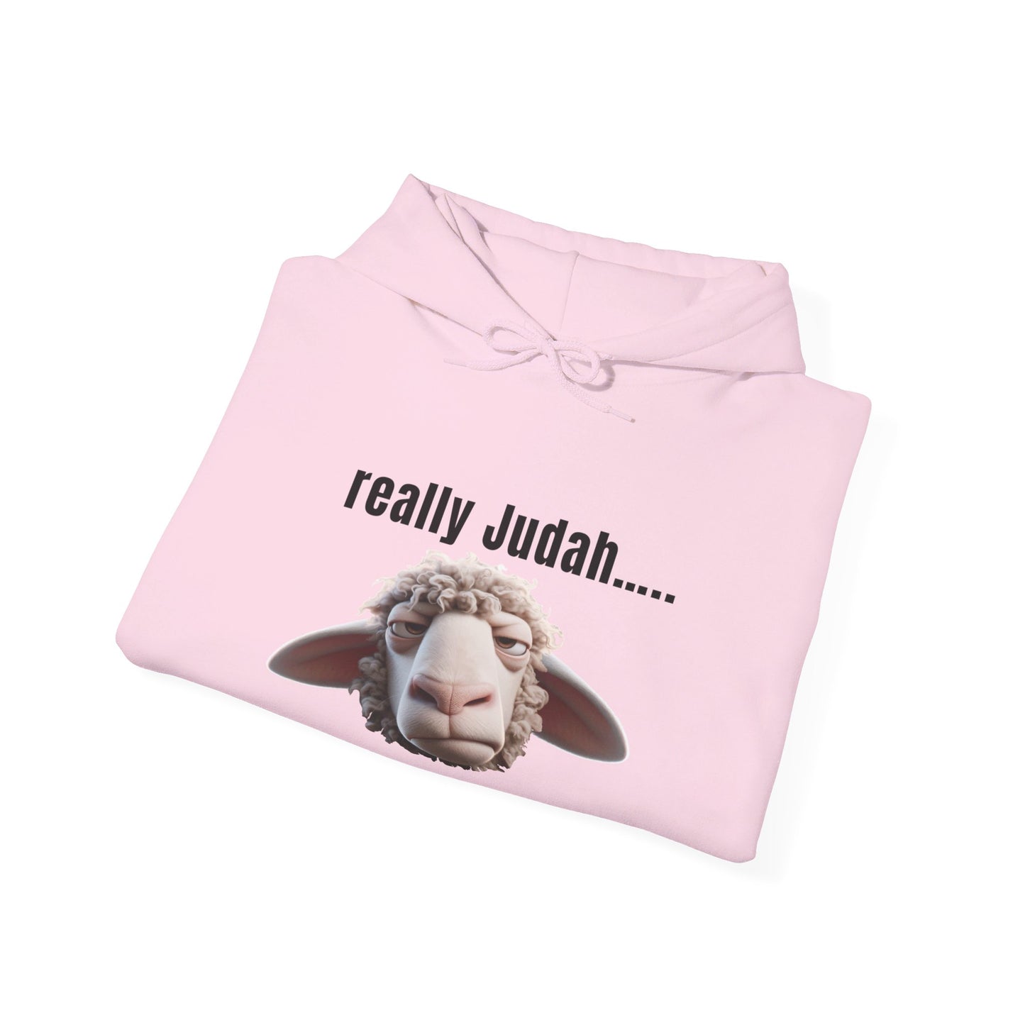 really Judah Hoodie