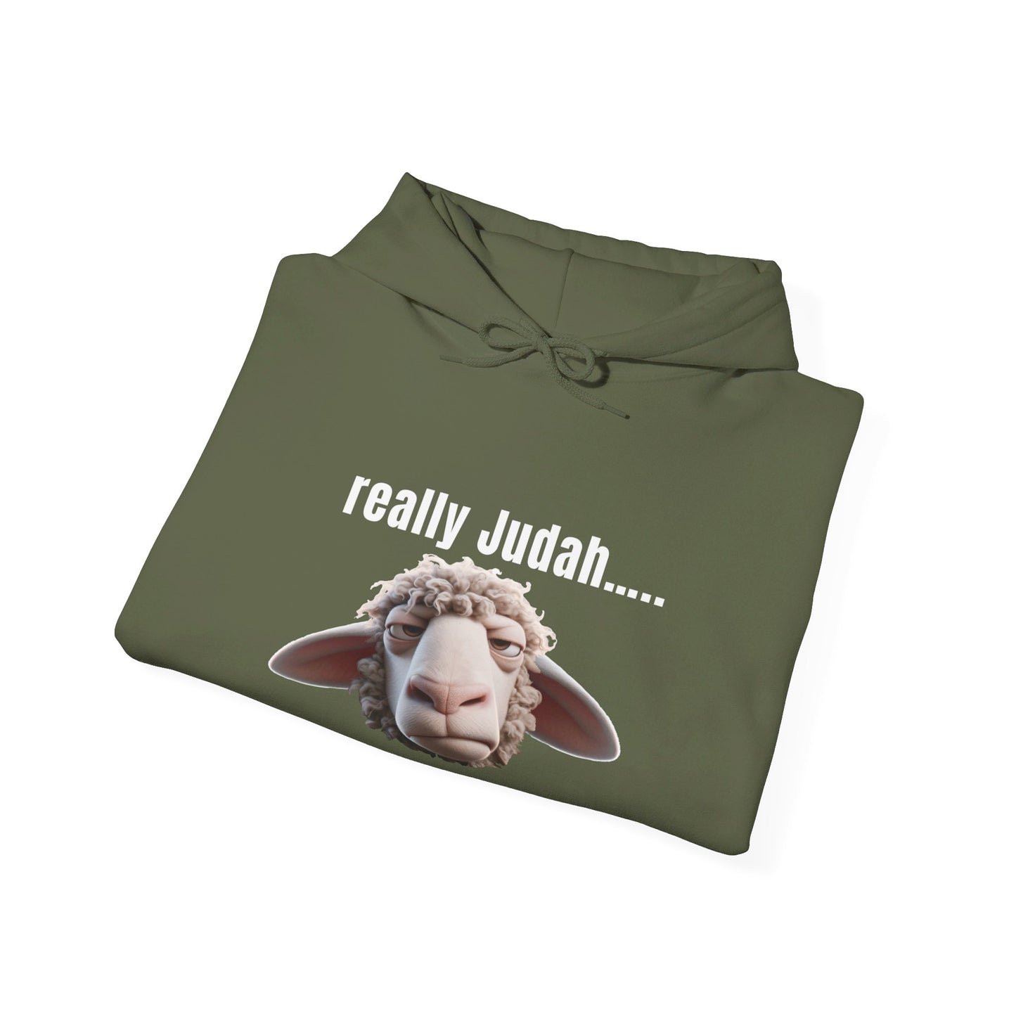 really Judah Hoodie