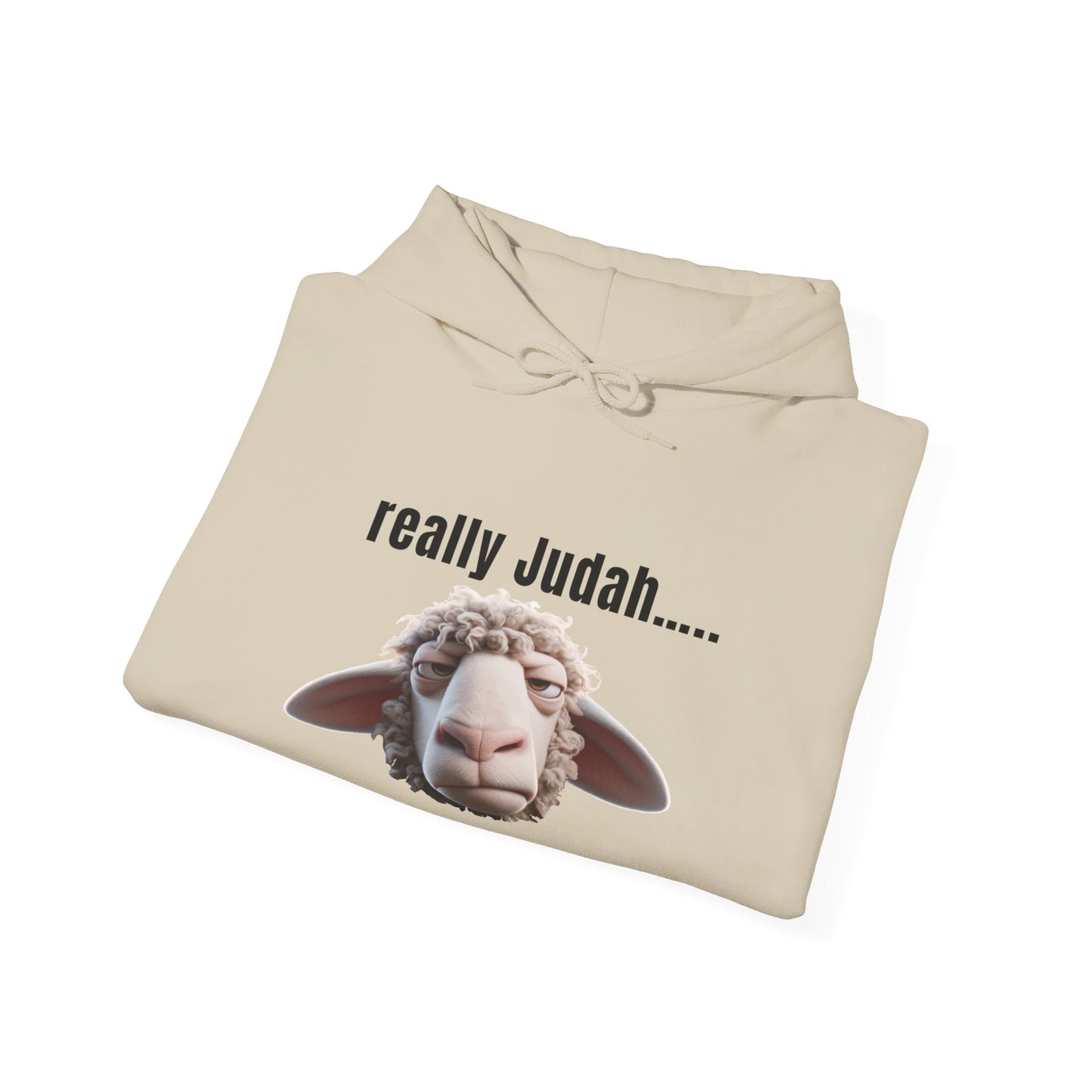 really Judah Hoodie