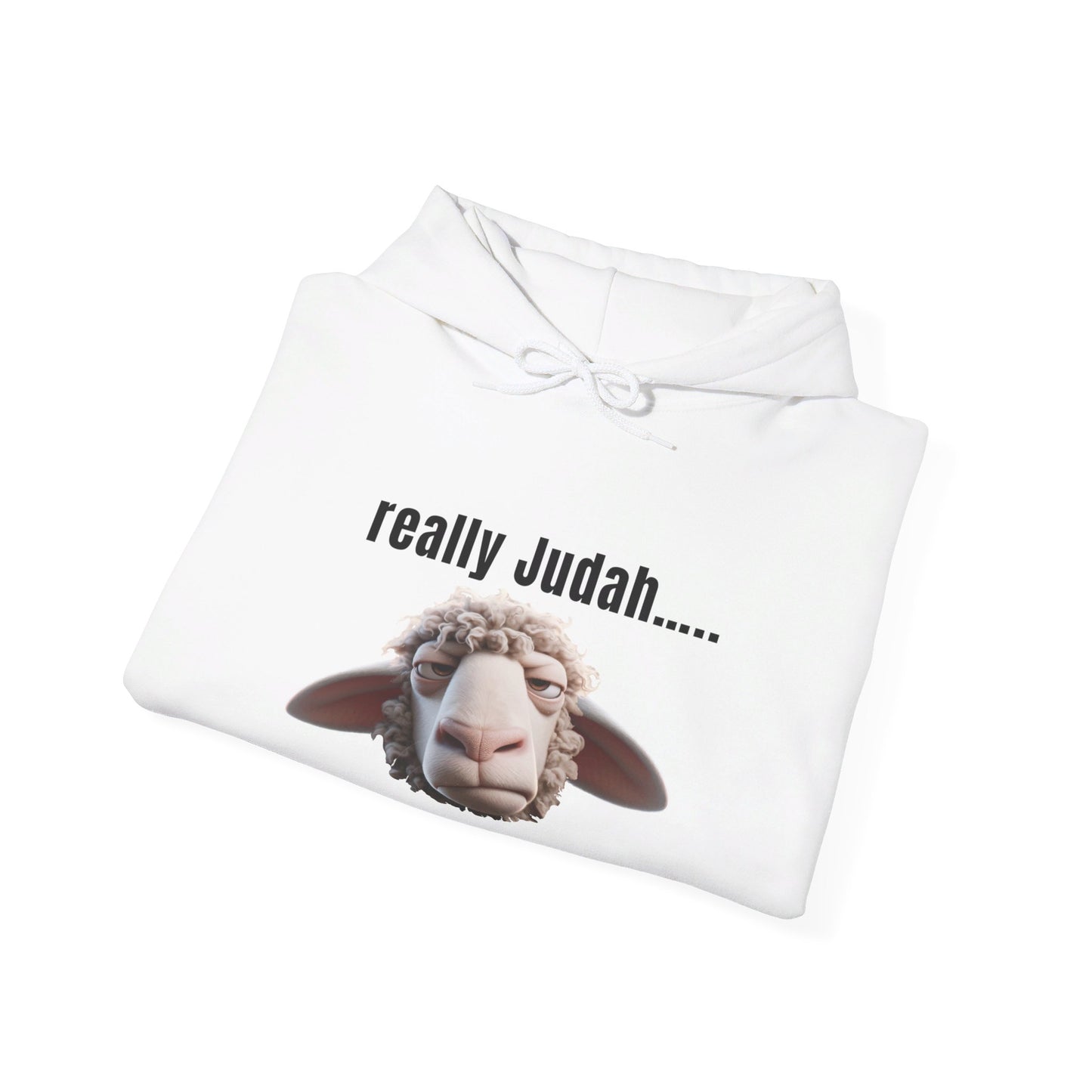 really Judah Hoodie
