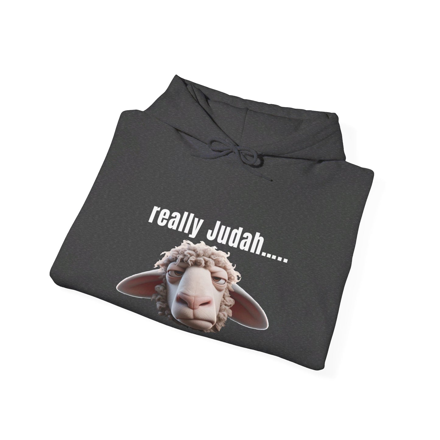 really Judah Hoodie