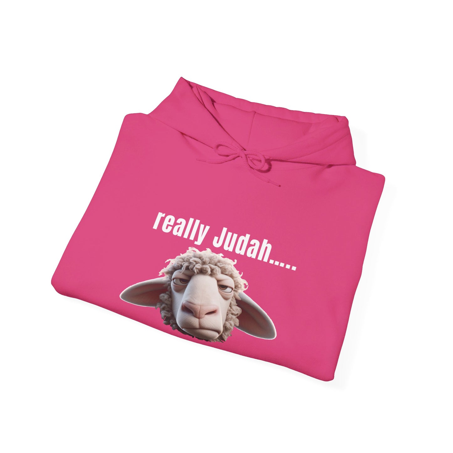 really Judah Hoodie