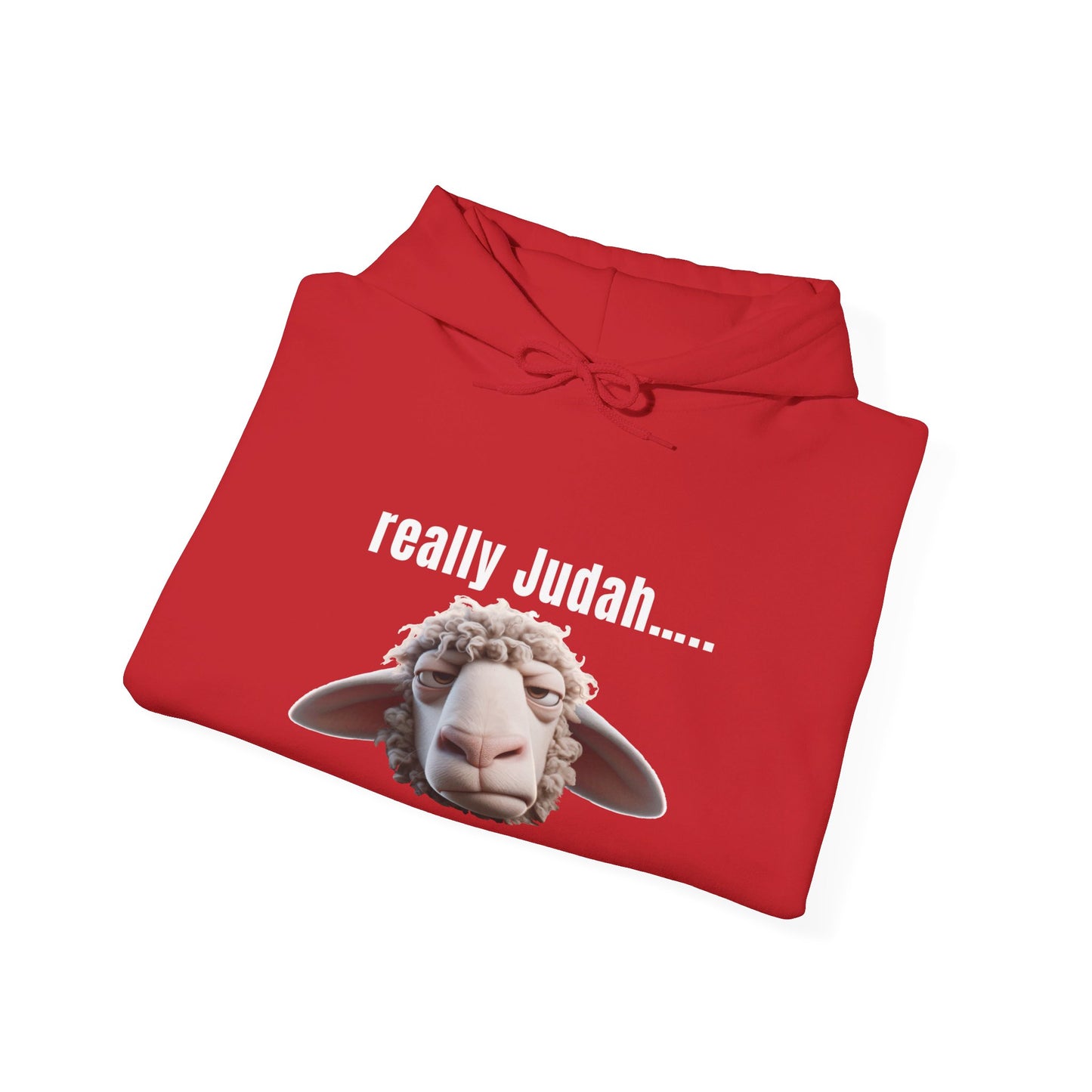 really Judah Hoodie