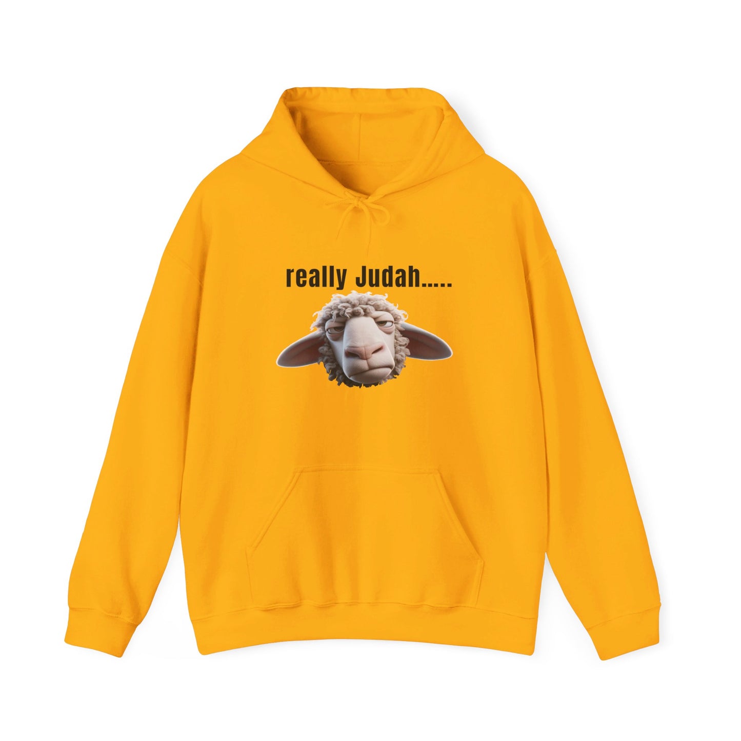 really Judah Hoodie