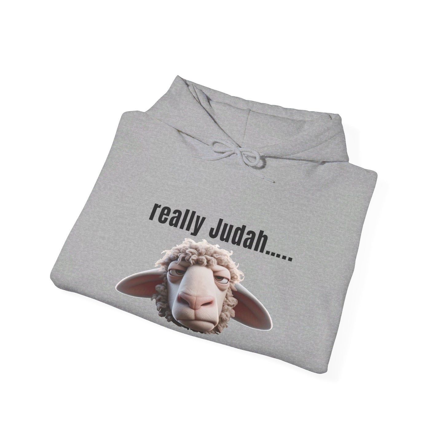 really Judah Hoodie